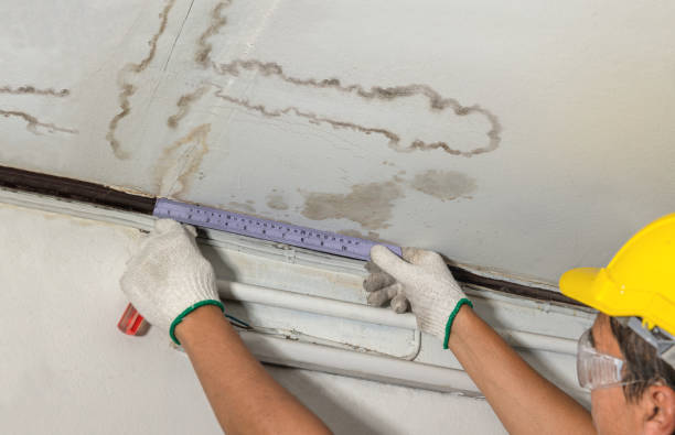 Reliable Mold Remediation contractor in Richwood, WV by Water Damage Irwin